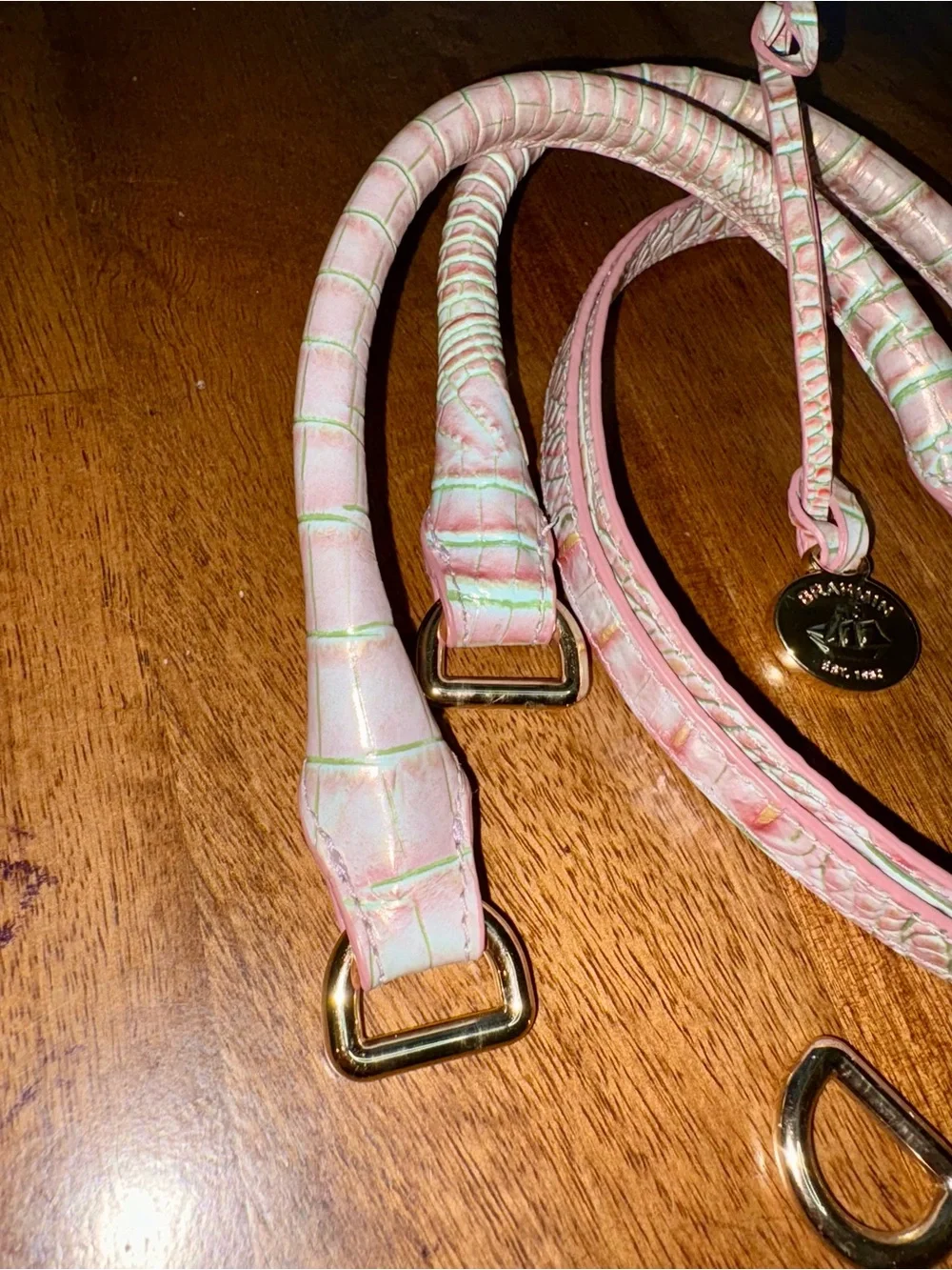 Brahmin Flirty Ombré—Pink/Green Croc-Texture Bag Straps with Gold Hardware